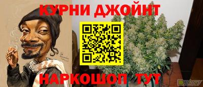сатива Будённовск