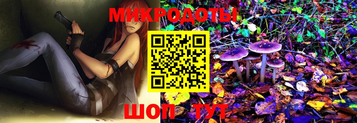 Псилоцибиновые грибы Psilocybine cubensis Лянтор